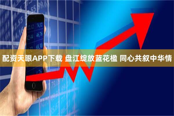 配资天眼APP下载 盘江绽放蓝花楹 同心共叙中华情